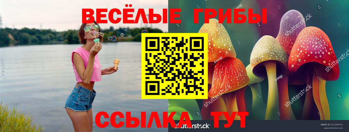 Псилоцибиновые грибы GOLDEN TEACHER Каменск-Шахтинский